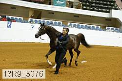 13r9_3076 proof