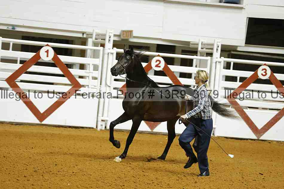 Proof 13r9_3079