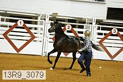 13r9_3079 proof