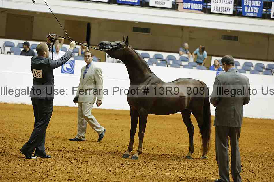 Proof 13r9_3081