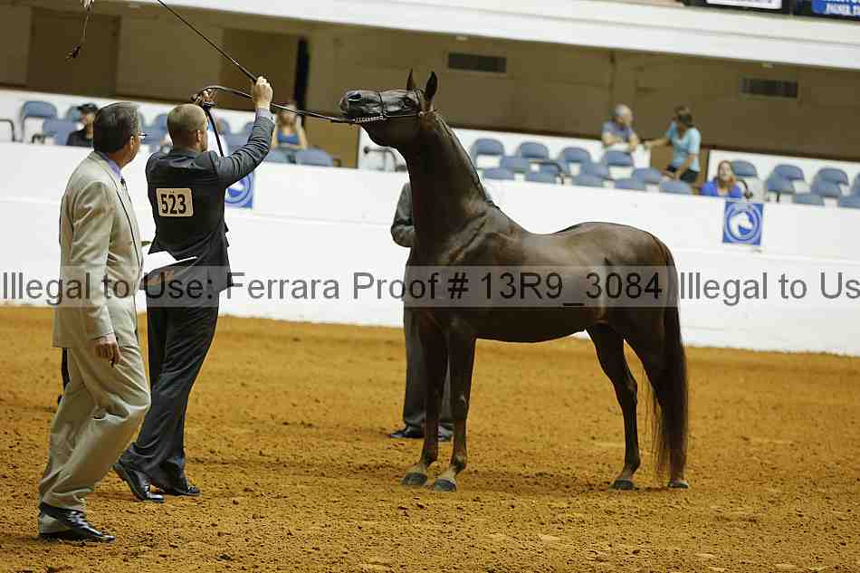 Proof 13r9_3084