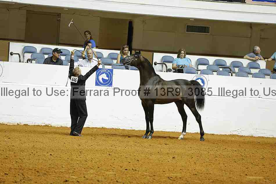 Proof 13r9_3085
