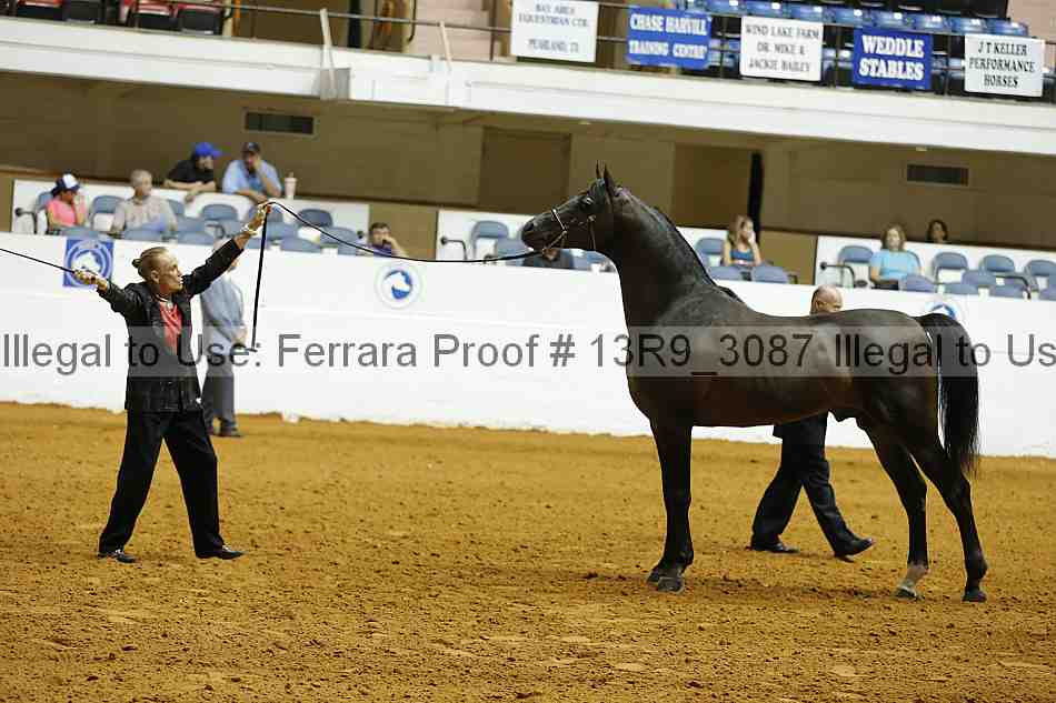 Proof 13r9_3087