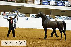 13r9_3087 proof