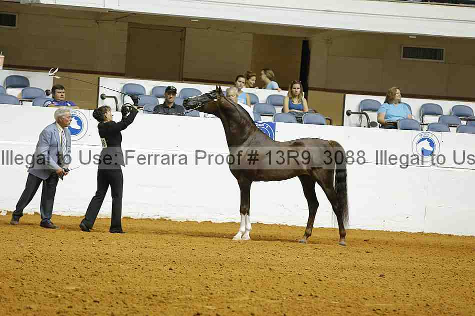 Proof 13r9_3088