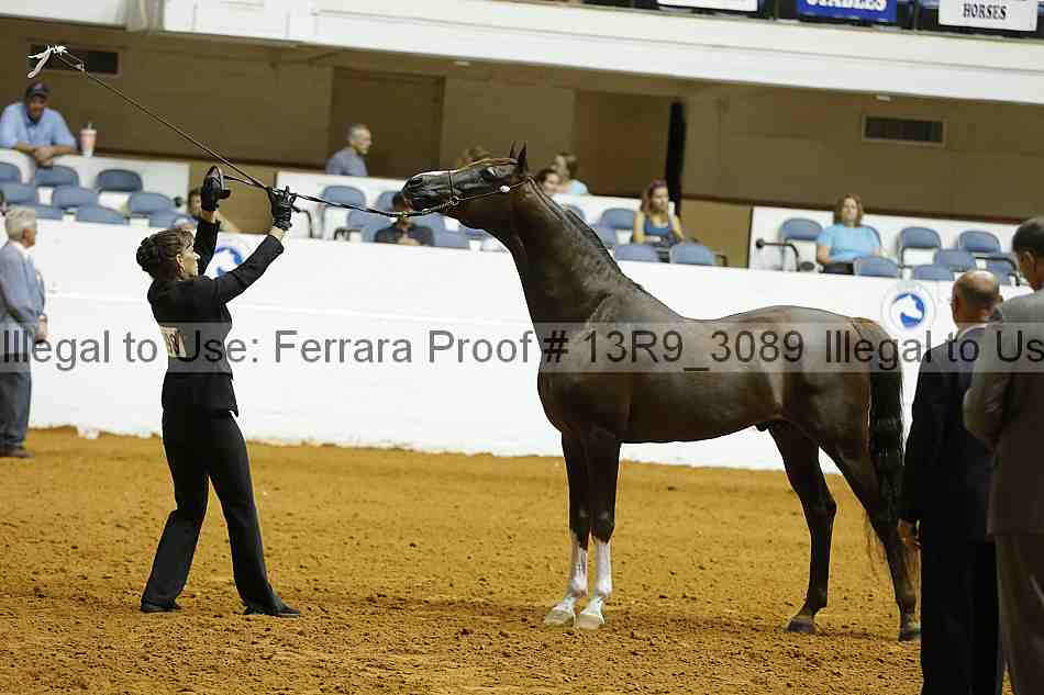 Proof 13r9_3089