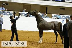 13r9_3089 proof