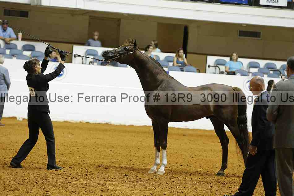 Proof 13r9_3090