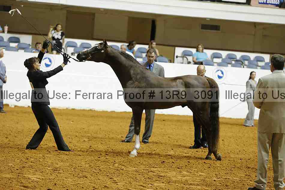 Proof 13r9_3091