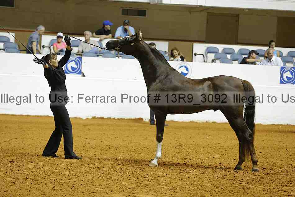 Proof 13r9_3092