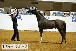 13r9_3092 proof