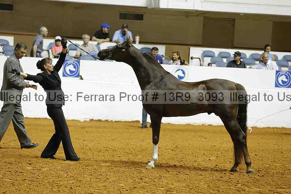 Proof 13r9_3093