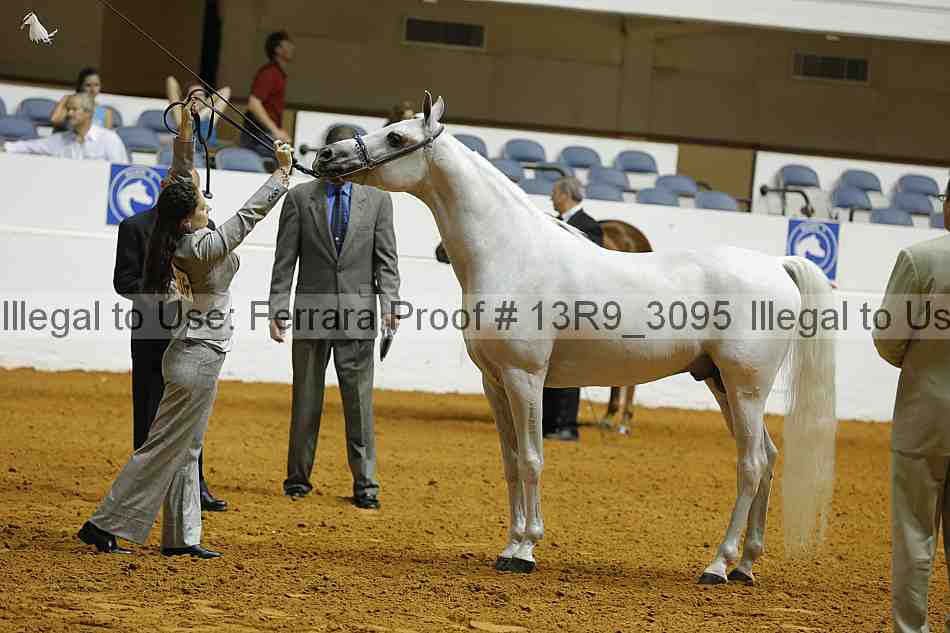 Proof 13r9_3095