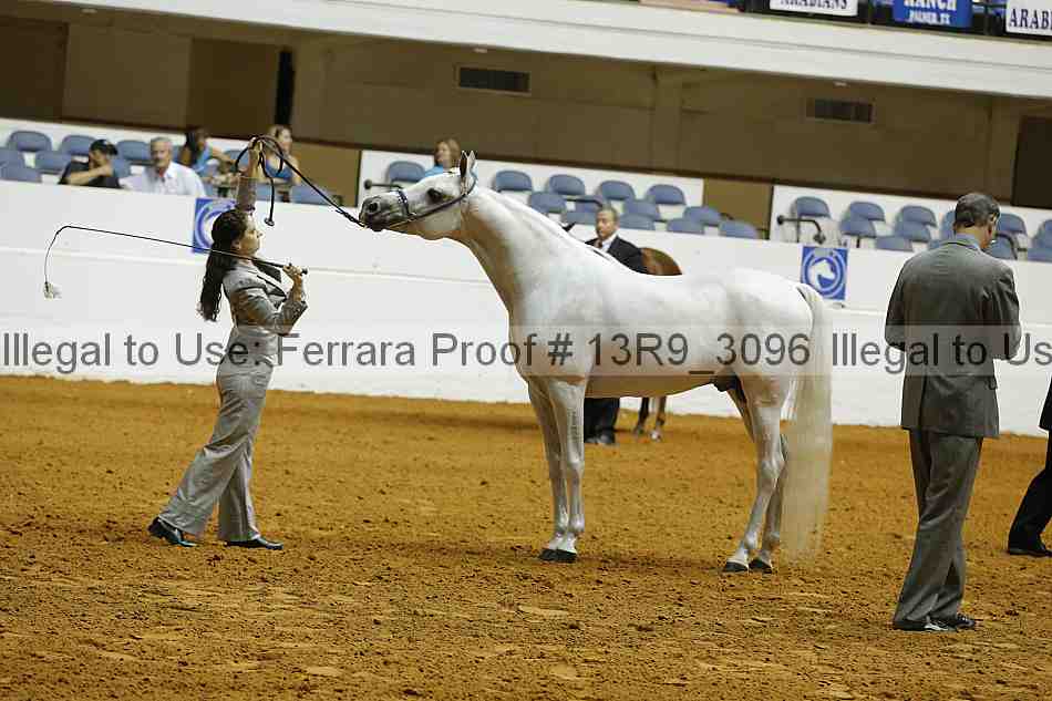 Proof 13r9_3096