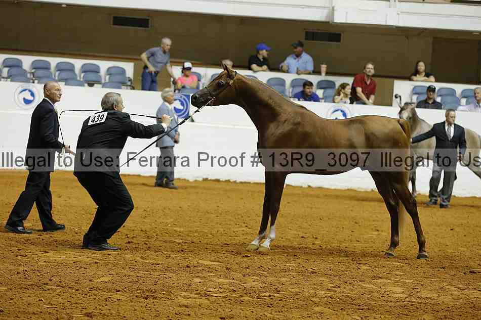 Proof 13r9_3097