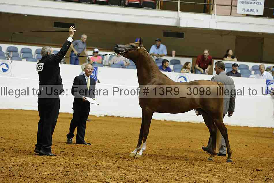 Proof 13r9_3098