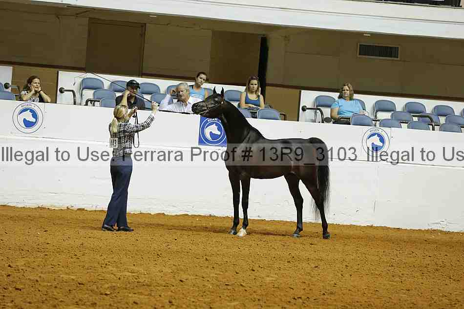 Proof 13r9_3103