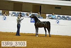 13r9_3103 proof