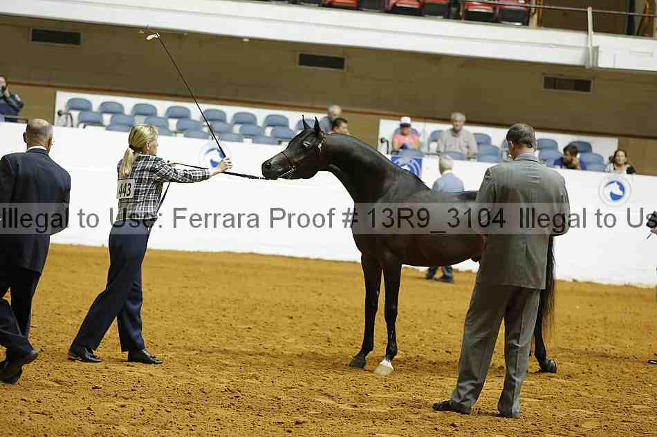 Proof 13r9_3104