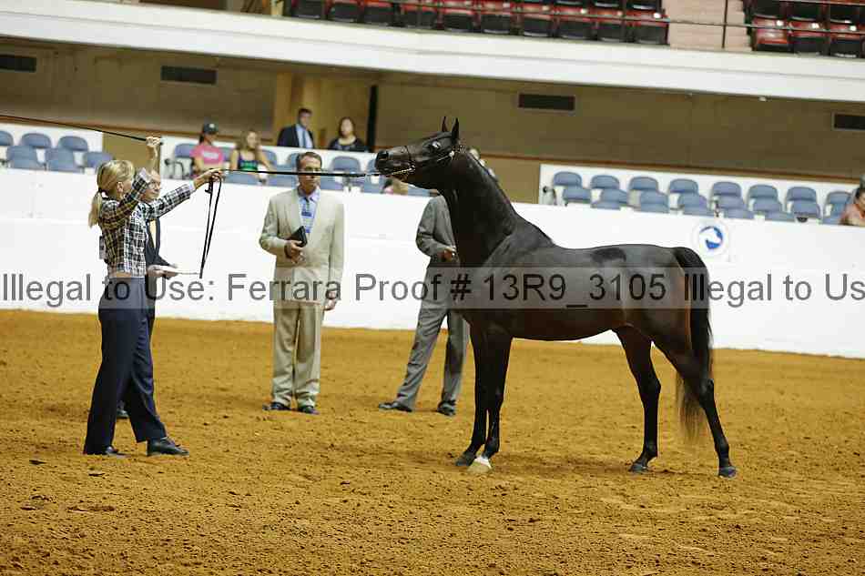 Proof 13r9_3105