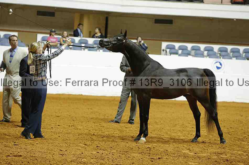Proof 13r9_3106