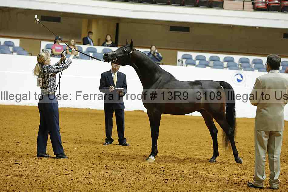 Proof 13r9_3108