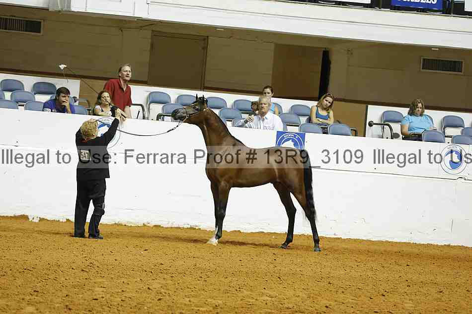 Proof 13r9_3109