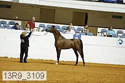 13r9_3109 proof