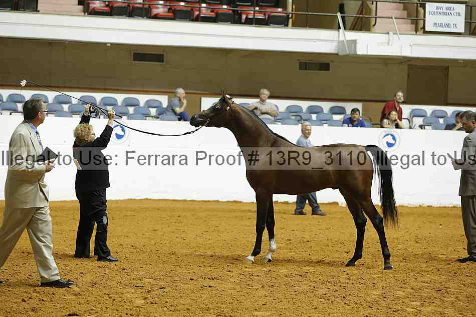 Proof 13r9_3110
