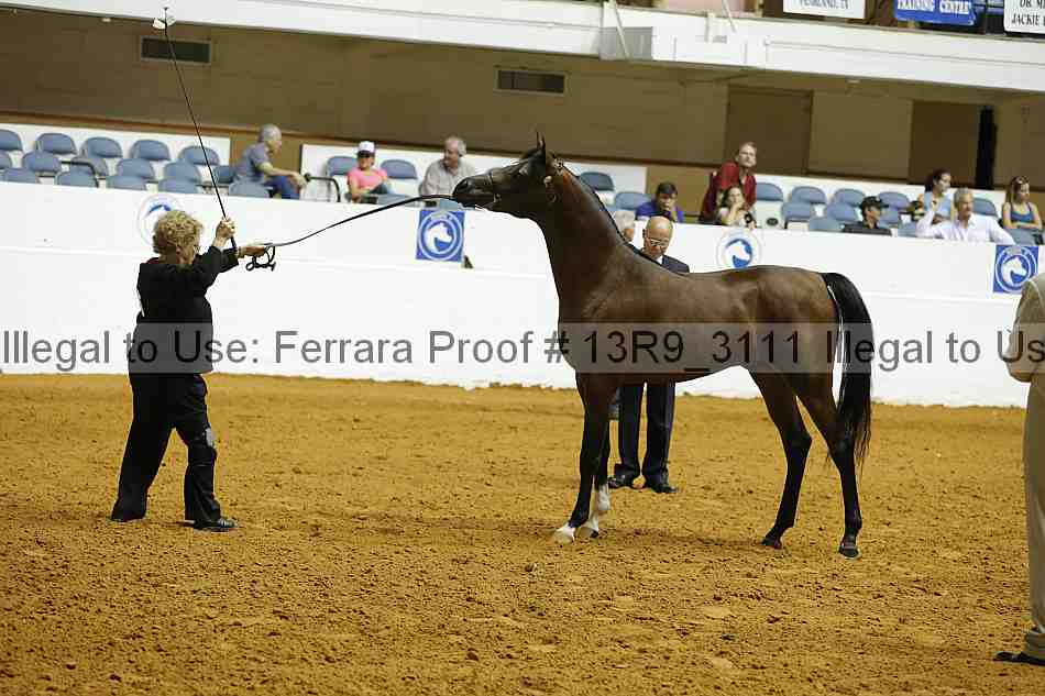 Proof 13r9_3111