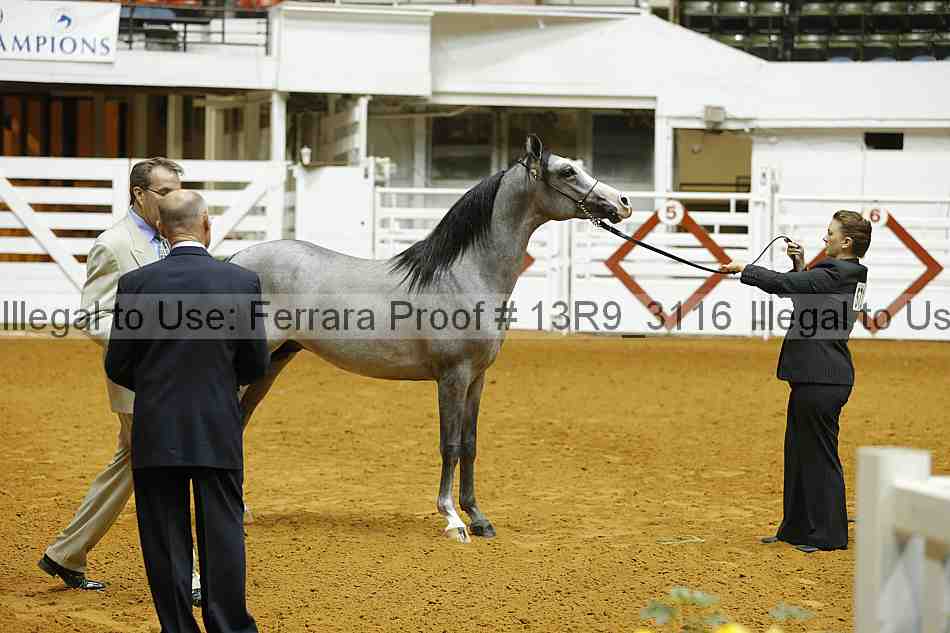 Proof 13r9_3116