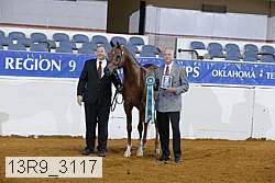 13r9_3117 proof