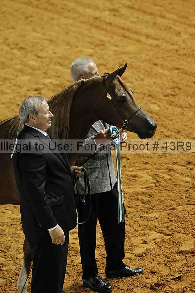 Proof 13r9_3119