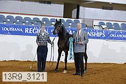 13r9_3121 proof