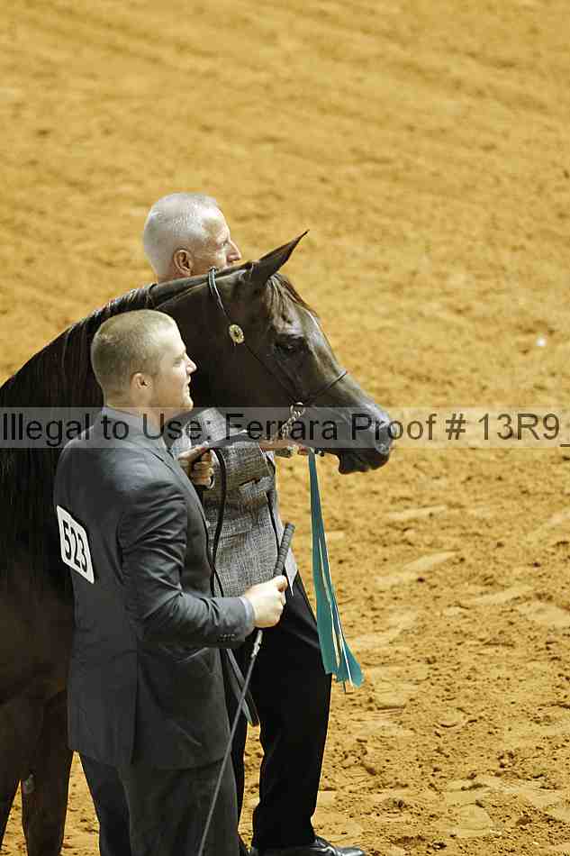 Proof 13r9_3124