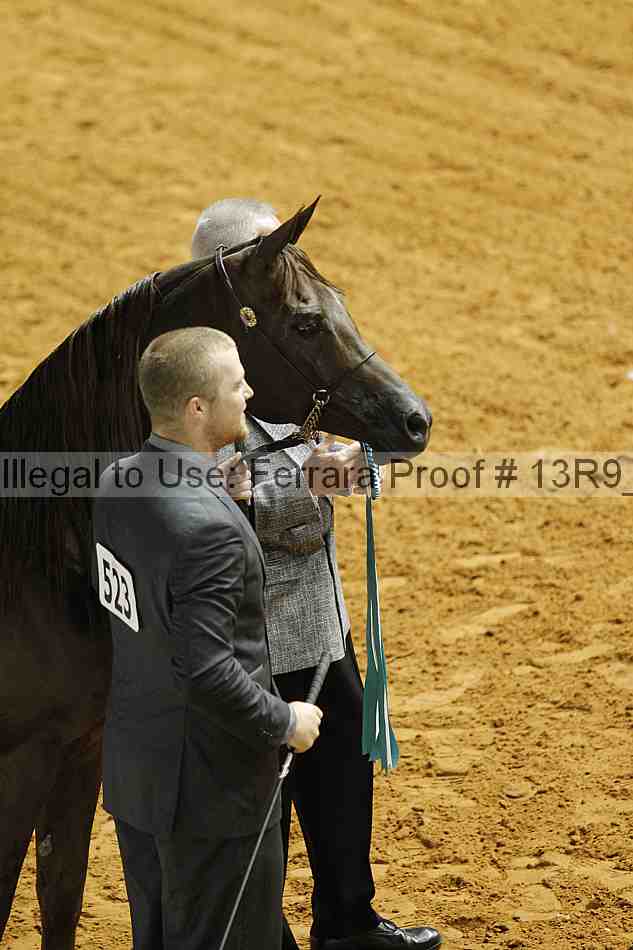 Proof 13r9_3125