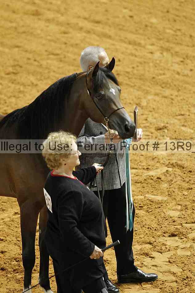Proof 13r9_3128