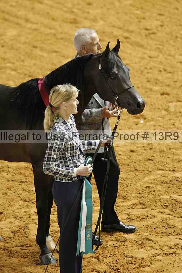 Proof 13r9_3134