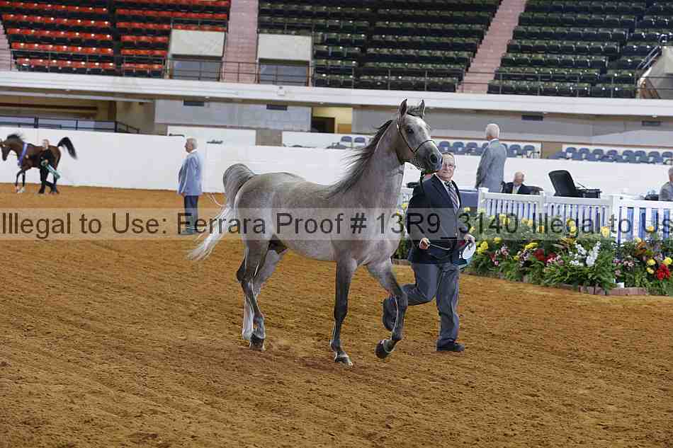 Proof 13r9_3140