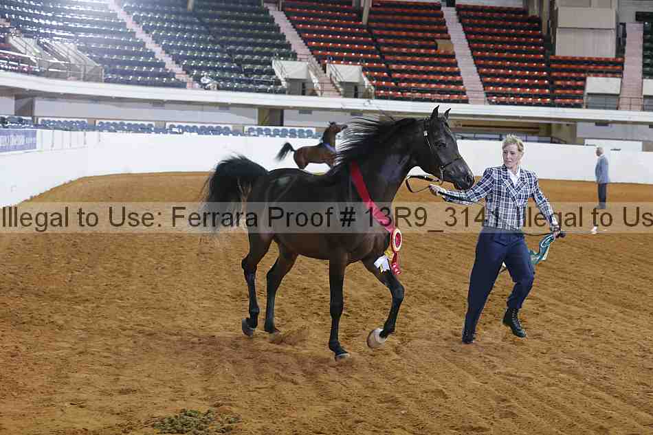 Proof 13r9_3141