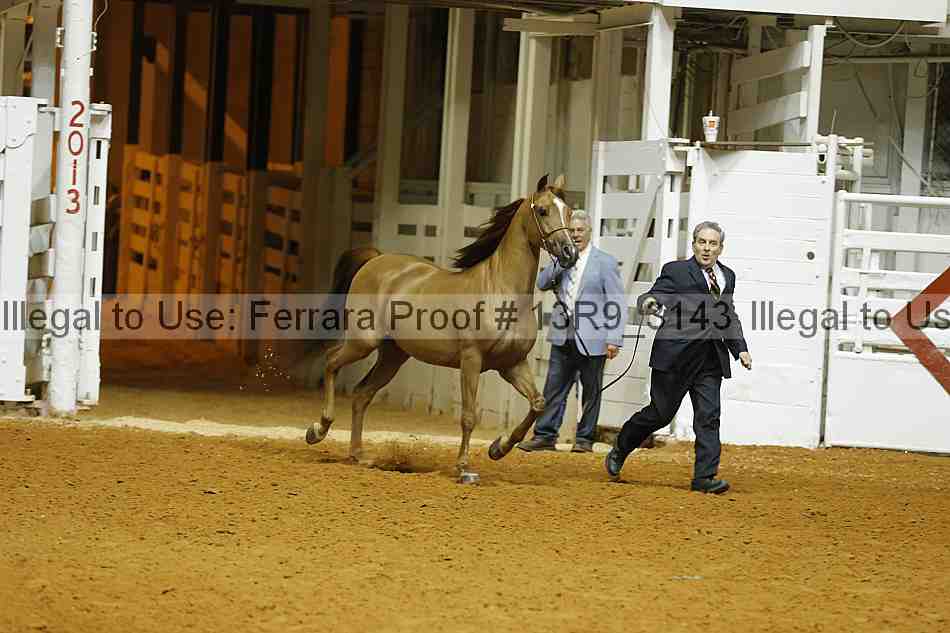 Proof 13r9_3143