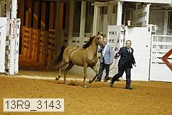 13r9_3143 proof