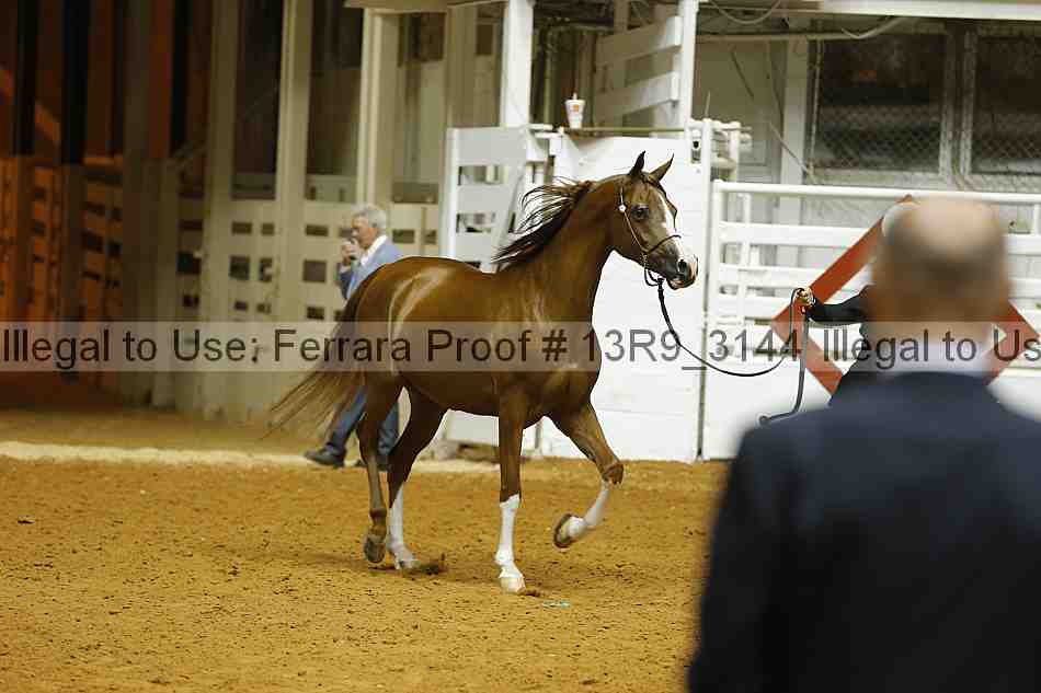 Proof 13r9_3144