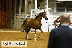 13r9_3144 proof