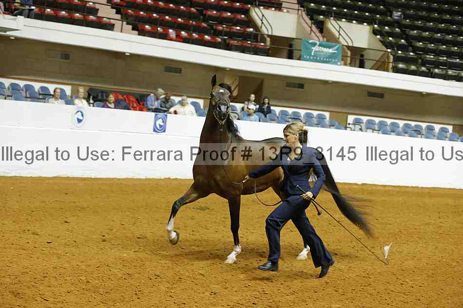 Proof 13r9_3145