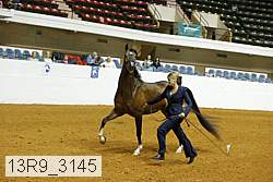 13r9_3145 proof