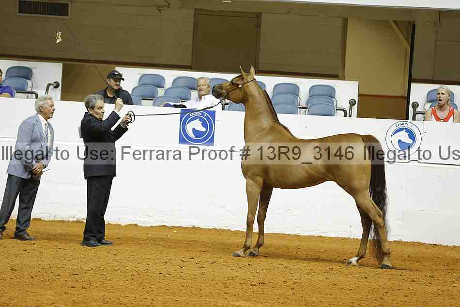 Proof 13r9_3146