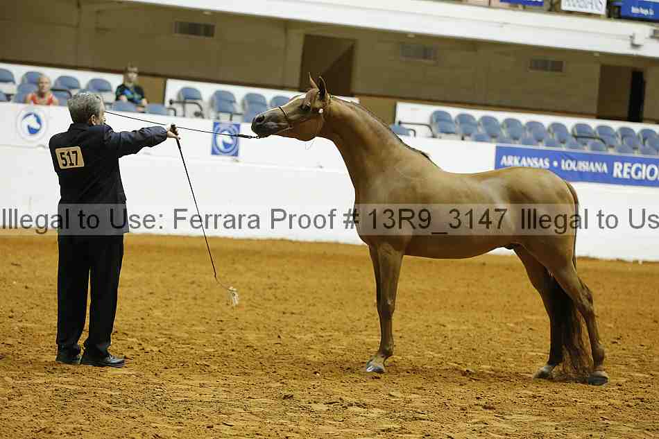 Proof 13r9_3147