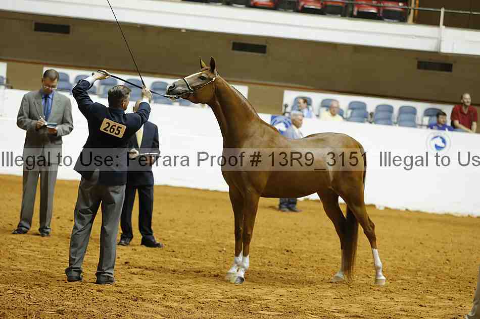 Proof 13r9_3151