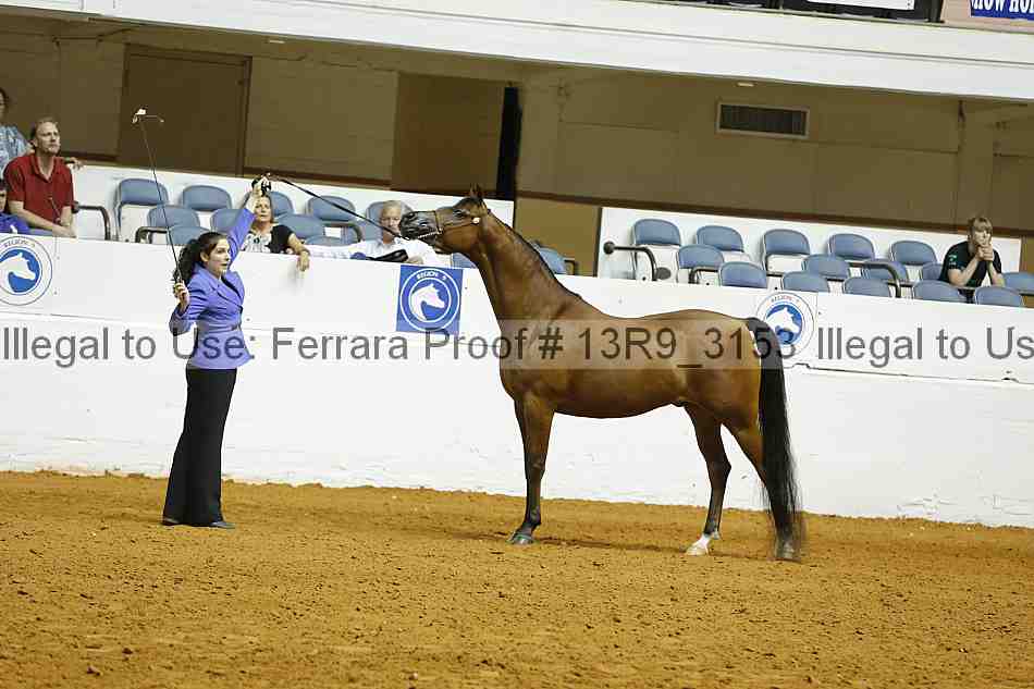 Proof 13r9_3153
